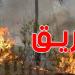 تدخل عاجل لوحدات الحماية المدنية للسيطرة على حريق مهول في معتمدية باجة الجنوبية
