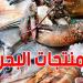 تحذير: حرارة المياه في تونس تهدد السردينة والبوري!