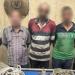 ضبط سيدة و4 أشخاص بالقاهرة لقيامهم بأعمال الحفر والتنقيب عن الآثار