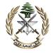 الجيش: تفجير ذخائرغير منفجرة في بلدة شمع
