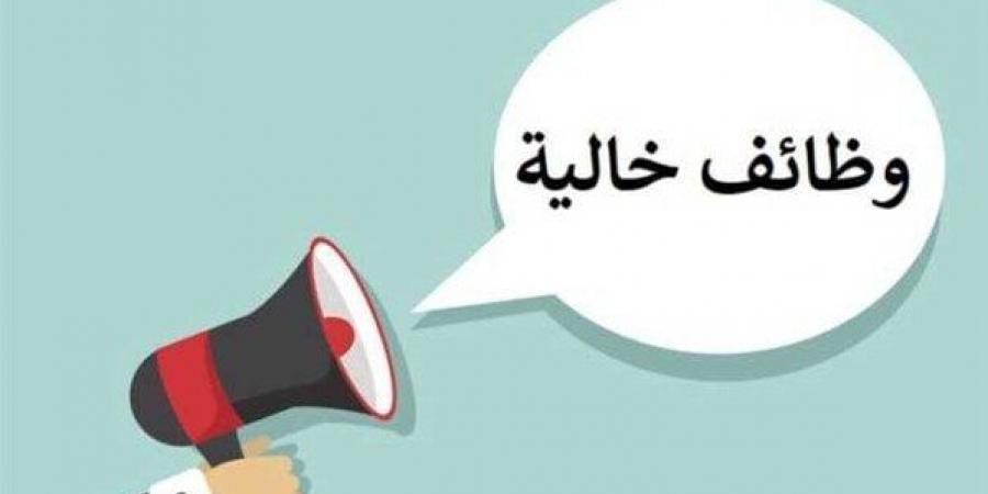 «الأعلى للجامعات» يعلن عن فرص عمل جديدة.. رابط وشروط التقديم