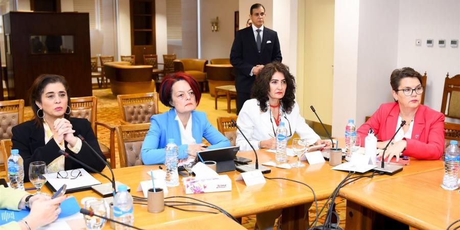 وزير الخارجية: ندين الغارة الإسرائيلية على المنطقة المجاورة للقصر الرئاسي بدمشق