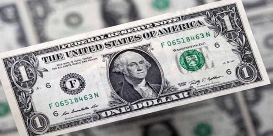 الأخضر بكام؟.. أسعار الدولار في مصر اليوم الأحد 4-5-2025