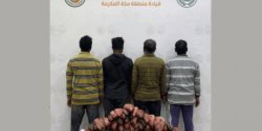 ضبط أربعة مخالفين لأنظمة الصيد البحري في الليث