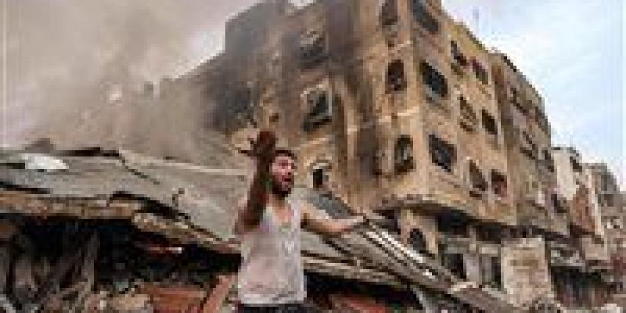 استاذ علوم سياسية: القضية الفلسطينية تم اختطافها لمصالح بعض الدول