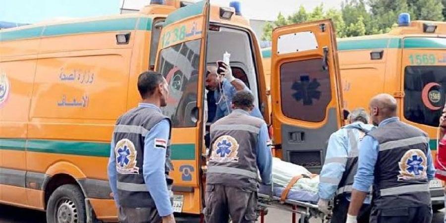 10 مصابين في حادث انقلاب ميكروباص على طريق الواحات بالمنيا