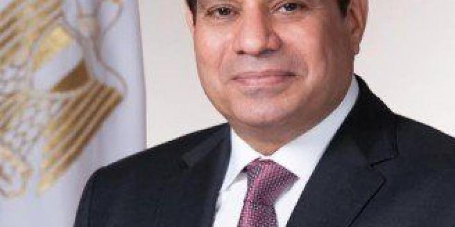 الرئيس المصري ورئيس مجموعة البنك الإفريقي للتنمية يشددان على ضرورة استمرار دعم البنك لجهود مصر في تحقيق النمو