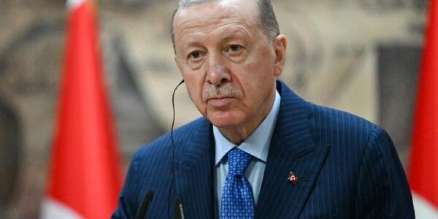 "الأناضول": أردوغان شارك في اجتماع عبر تقنية الفيديو مع ترامب وبن سلمان والشرع