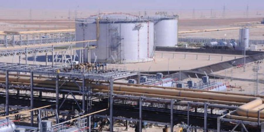 الإيرادات تقفز بأرباح "الخريف" إلى 58.15 مليون ريال بالربع الأول للعام 2025