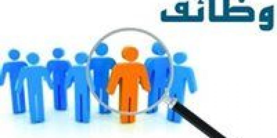 وزارة العمل تعلن عن توفير 5 وظائف بالأردن.. اعرف التفاصيل الكاملة