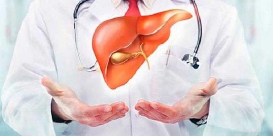 تليف الكبد..7 علامات مبكرة تنذر بضرورة الفحص الطبي العاجل