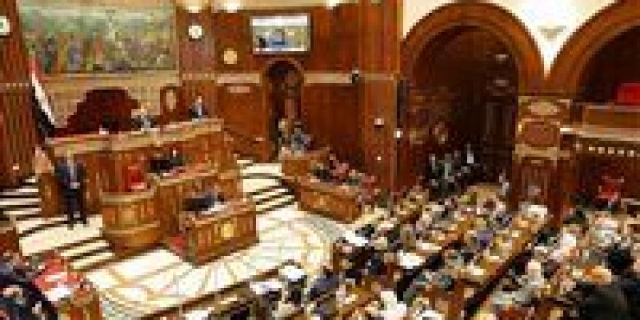 مجلس الشيوخ يوافق على خطة التنمية الاقتصادية 2025/2026