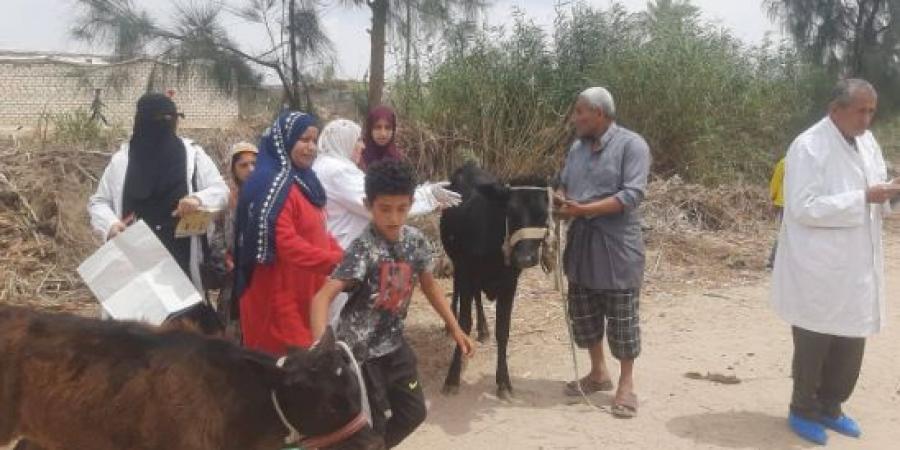 "الزراعة" تطلق 9 قوافل بيطرية علاجية مجانية في 5 محافظات
