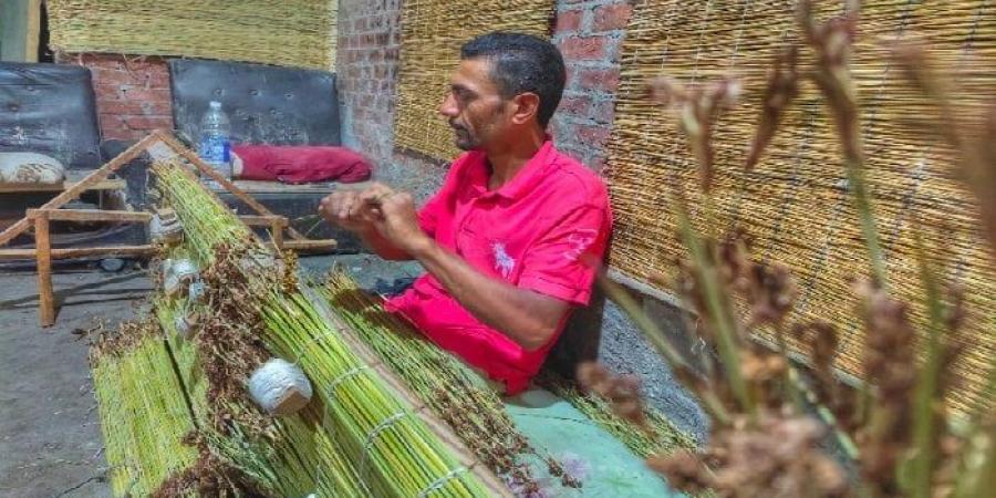 تواجه شبح الاندثار.. «الأسبوع» داخل أقدم ورشة لصناعة الحُصر في الإسكندرية