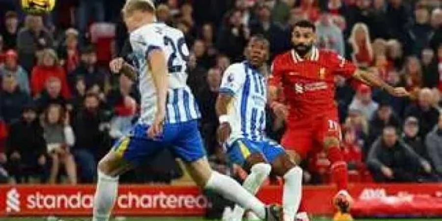 الليلة.. الريدز يلتقي برايتون في الدوري الإنجليزي