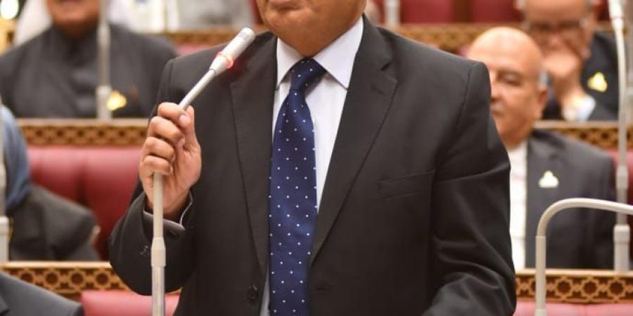 وزير العدل أمام مجلس الشيوخ: «التحكيم بقضايا الأسرة يبدأ بالزغاريد وينتهى بالتراشق والاشتباك وإطلاق النار»..صور