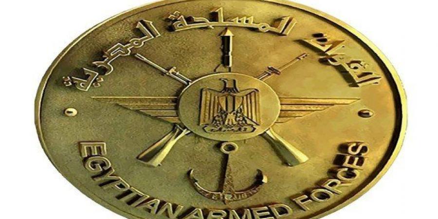 القوات المسلحة المصرية: سقوط طائرة تدريب أثناء تنفيذ أحد الأنشطة التدريبية