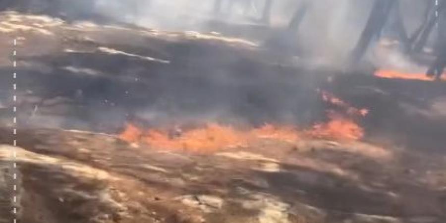 بالفيديو .. حريق يلتهم أحراش سحم .. ورئيس بلدية الشعلة يستنجد بالأهالي لإخماده