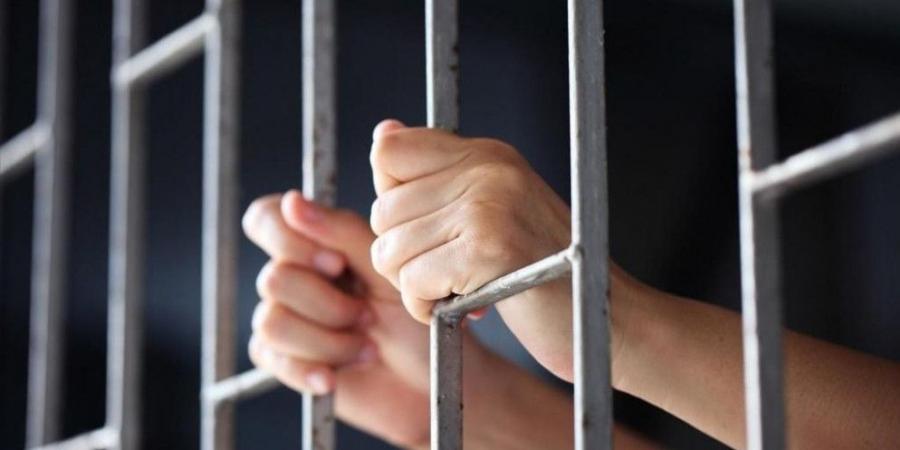 وزير العدل: بدائل الحبس في "معدل العقوبات" ستطبق على نزلاء بالسجون