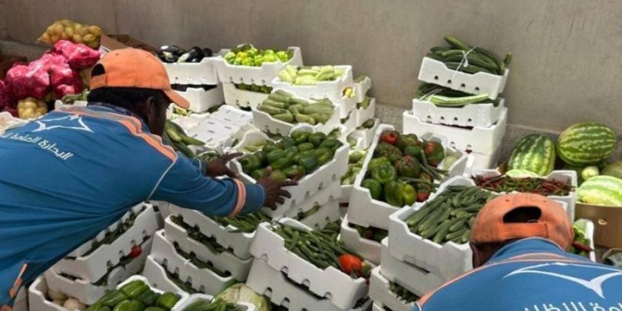 في حملة مشتركة.. ضبط 15 طن من المتروكات في الدمام