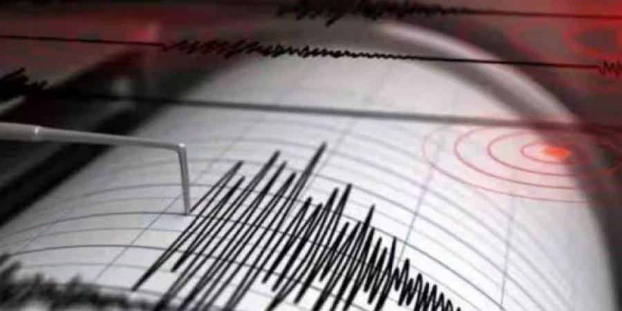 بقوة 6.6 درجات.. زلزال يضرب قبالة سواحل بابوا غينيا الجديدة