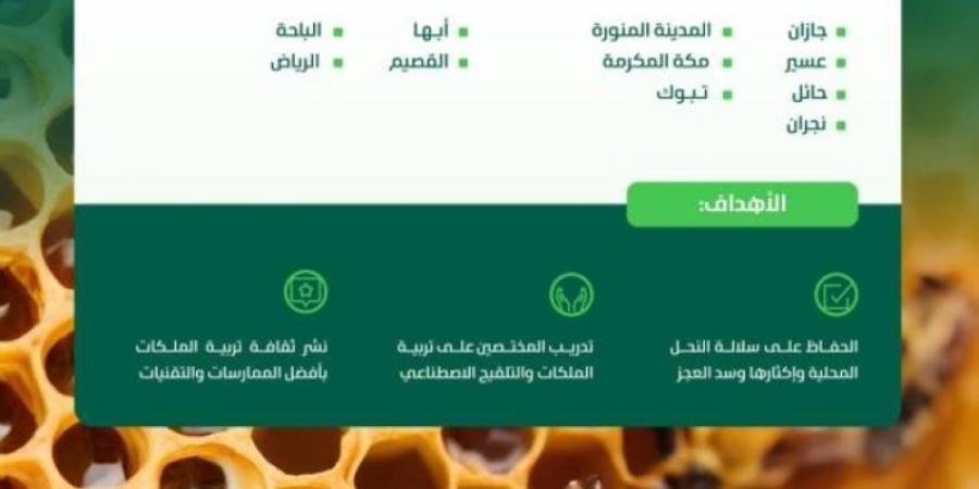 البيئة تعلن إنشاء 7 محطات لتربية ملكات النحل وإنتاج الطرود وتشغيلها عام 2026م