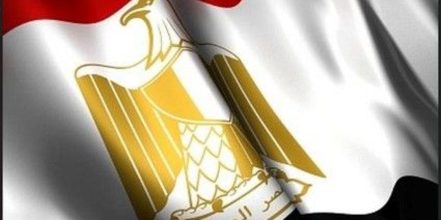 خارجية مصر تدين إطلاق الجيش الإسرائيلي النار باتجاه دبلوماسيين بينهم السفير المصري في الضفة الغربية