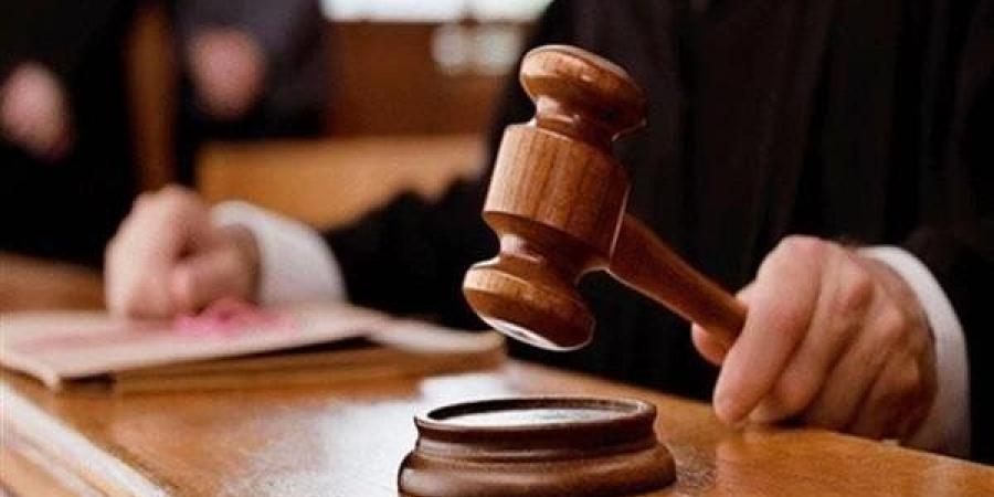 للحكم.. حجز قضية وثائق التأمين على الحياة الدولارية «تشب» و«آيس»