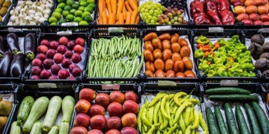 أسعار الخضروات والفاكهة في سوق العبور اليوم الأربعاء 21 مايو 2025