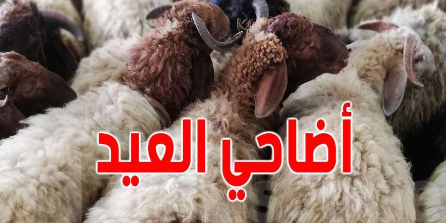 للتمتّع بأسعار معقولة في شراء أضحية العيد: توجّهوا إلى نقاط البيع المنظمة