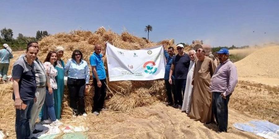 حصاد القمح بالمحافظات ضمن فعاليات مبادرة "ازرع"