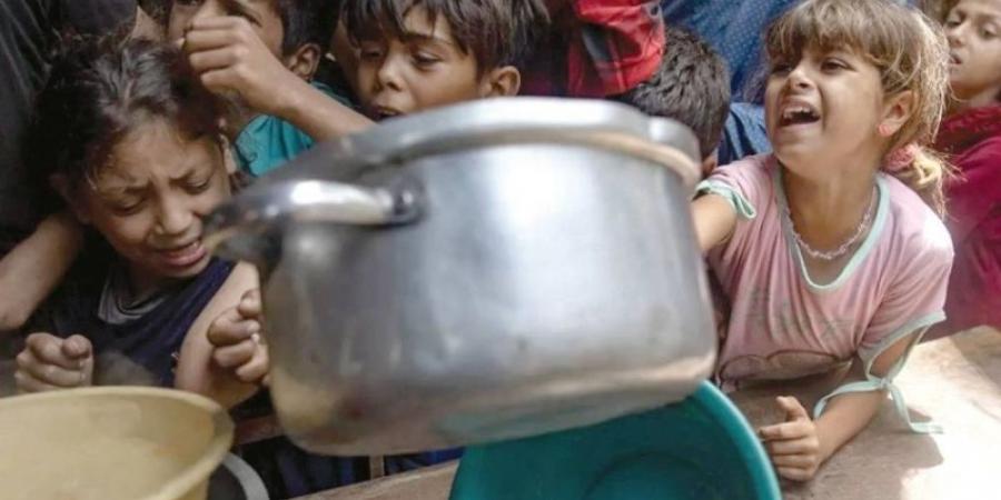 وزير الخارجية الأيرلندي: ما تفعله إسرائيل في غزة «أمر همجي»