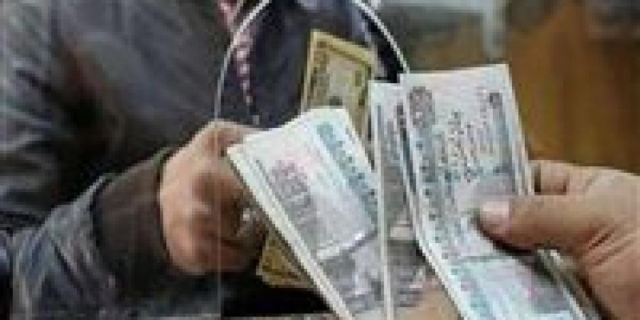 الحصول على دعم مالي شهري مقدم من وزارة التضامن الاجتماعي.. الخطوات والشروط