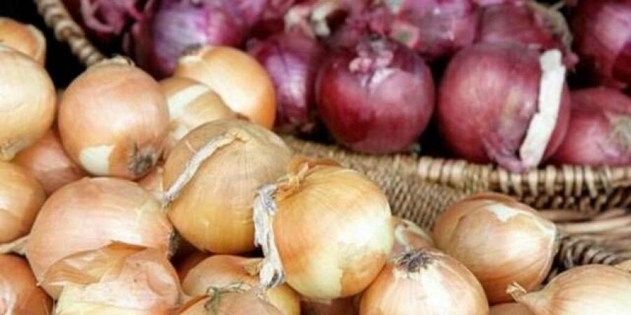 مصر تبحث مع السعودية إعادة فتح الباب لتصدير البصل نظرًا لجودته وسمعته العالمية