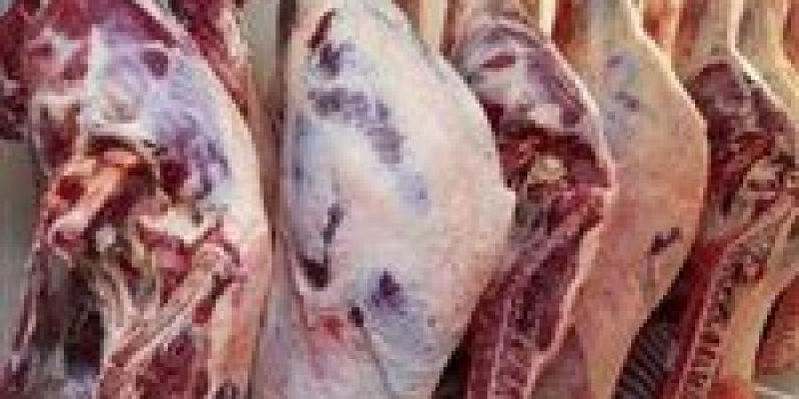 وزير الزراعة: نوفر اللحوم قبل عيد الأضحى بأسعار تقل عن السوق بـ10 لـ15 جنيه