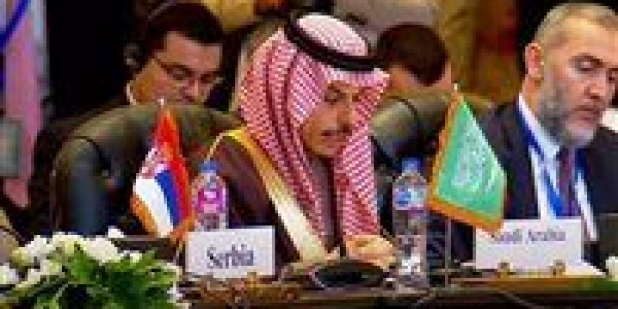 التحرك الدبلوماسي السعودي في مدريد: دعم متجدد لحل الدولتين وإنهاء معاناة غزة