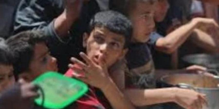 الأونروا: السبيل الوحيد لمنع تفاقم الكارثة فى غزة تدفق المساعدات الإنسانية