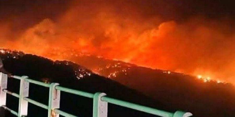 ليبيا.. السيطرة على حرائق وادي الكوف وتحذيرات من تجددها مع ارتفاع درجات الحرارة