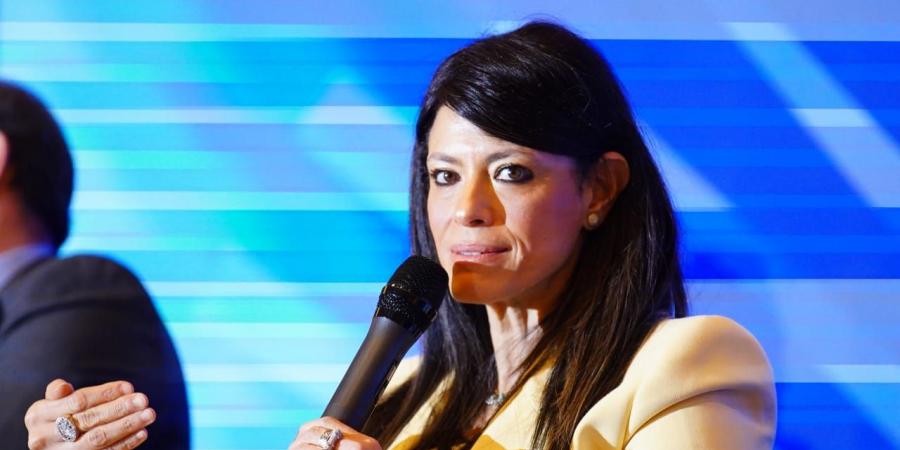 رسائل من المشاط للقطاع الخاص والمؤسسات المالية الأمريكية