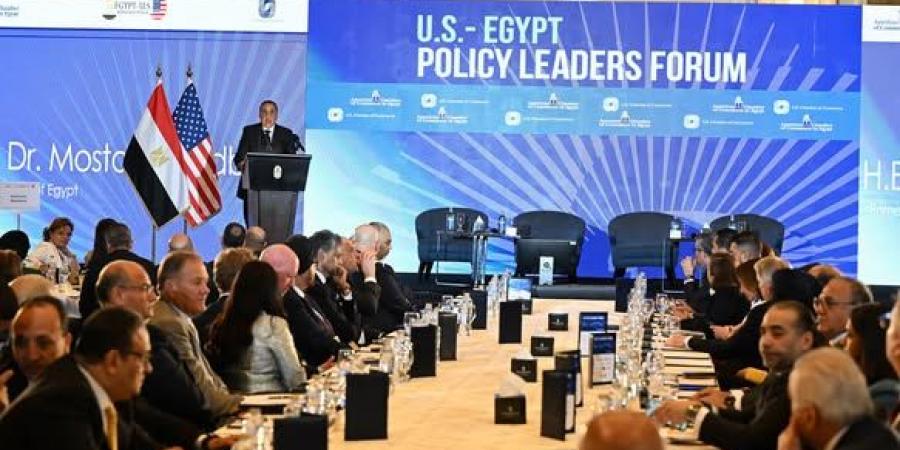 مدبولى: شبابنا يمثل أحد أهم مواردنا من خلال إبداعهم وطموحهم
