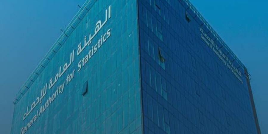 هيئة الإحصاء: حصة الاقتصاد الرقمي ترتفع إلى 15.6% من الناتج المحلي للمملكة