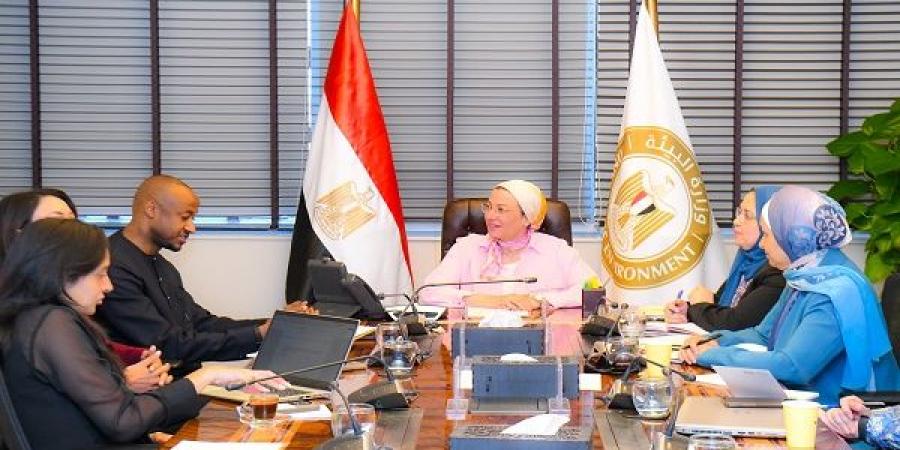مصرتحتفل بمرور١٠سنوات على إطلاق الرئيس المبادرة الأفريقية
