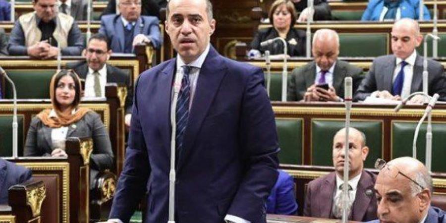 وزير الشئون النيابية: الحكومة تركت القوى السياسية والأحزاب تقرر النظام الانتخابي الأنسب