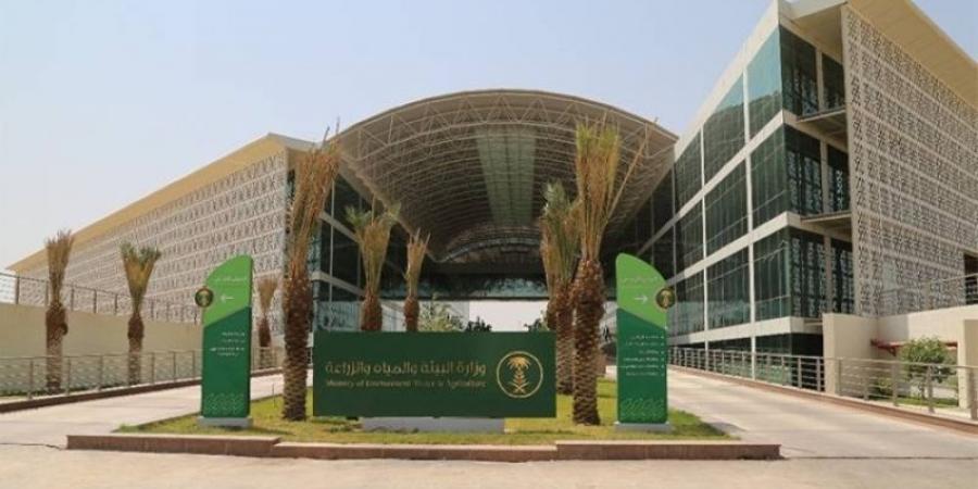 (64) فرصة استثمارية زراعية واعدة في (8) مناطق