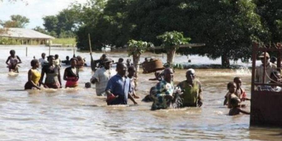 ارتفاع حصيلة ضحايا الأمطار الغزيرة في نيجيريا إلى 88 شخصًا على الأقل