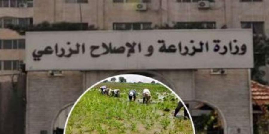 بيان رسمي.. «الزراعة» تكشف حقيقة بيع المبنى القديم للوزارة لمستثمر خليجي