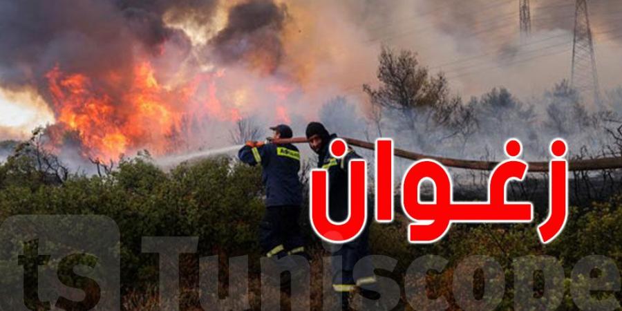 حريق يأتي على 4.5 هكتارات من المحاصيل الزراعية في بئرمشارقة