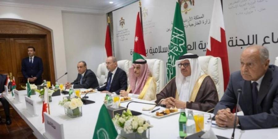 اللجنة الوزارية العربية الإسلامية تطلع الرئيس الفلسطيني على جهودها