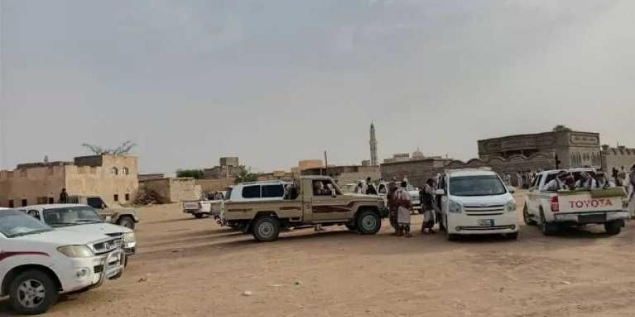 مأرب: أبناء ريمة يشيدون بعفو قبيلة ال عامر بن علي بآل شبوام عن أحد أبناء السلفية
