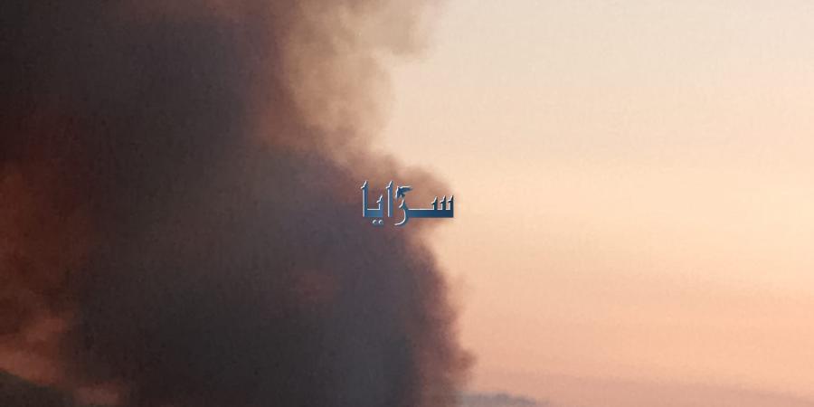 بالفيديو والصور .. مخاوف من امتداد حريق كبير من الأراضي المحتلة إلى الأراضي الأردنية